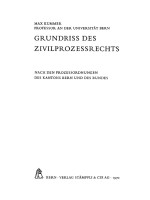 Grundriss de Zivilprozessrechts