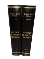 Estudios de Derecho Procesal II