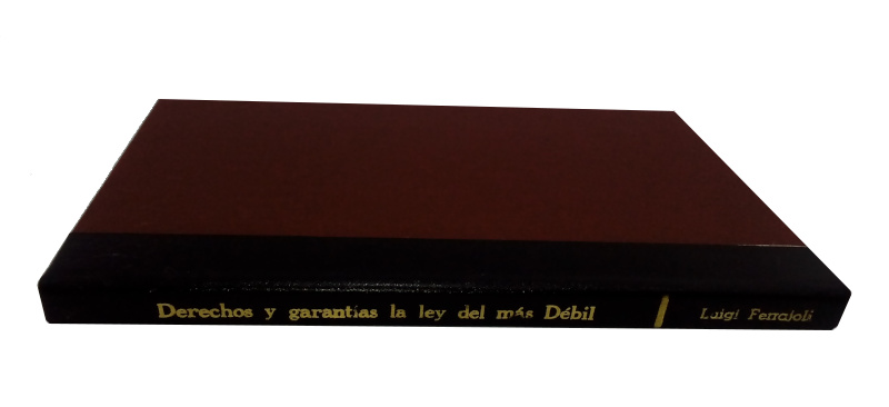 Derechos Y Garantias. La Ley Del Mas Debil - Intellectus Livraria